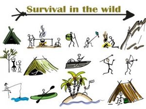 outdoor survival skills