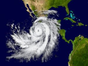 all about hurricane survival